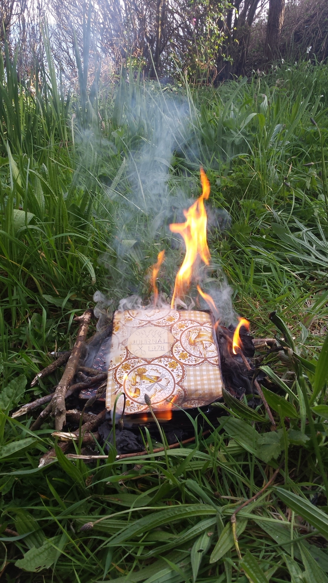 image of burning diary